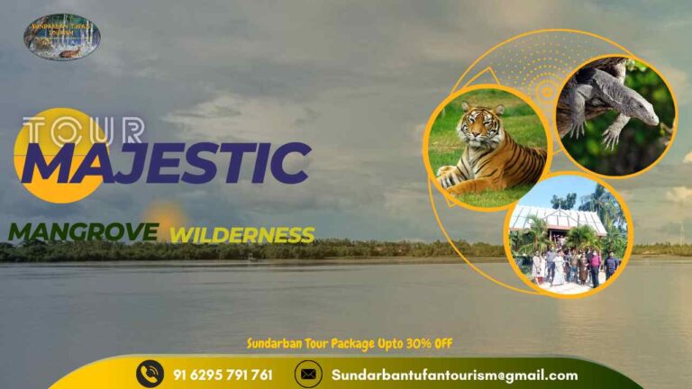 Discover Sundarban Majestic Mangrove Wilderness